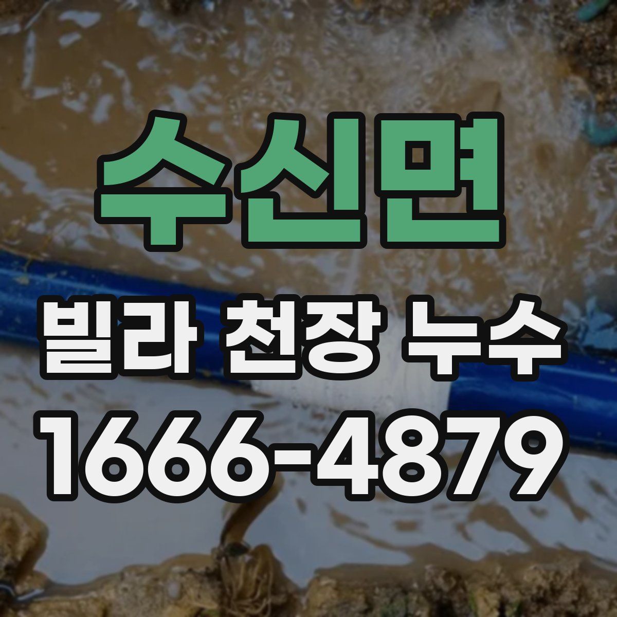 수신면 빌라 천장 누수