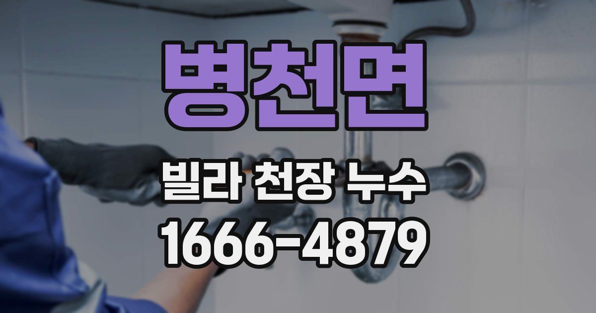 병천면 빌라 천장 누수