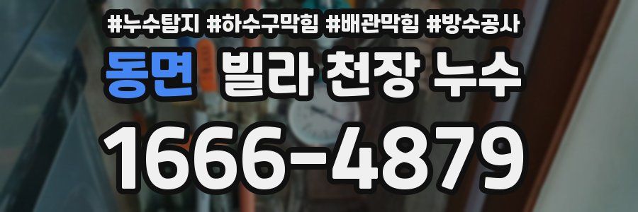 동면 빌라 천장 누수