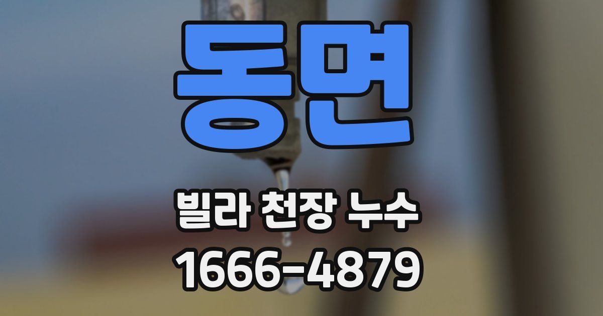 동면 빌라 천장 누수