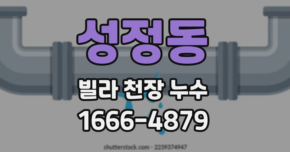 성정동 빌라 천장 누수