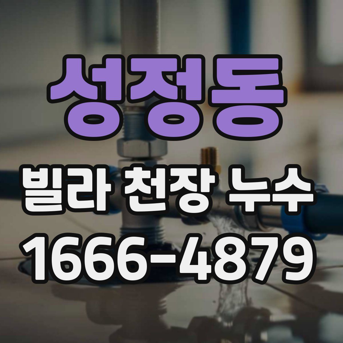 성정동 빌라 천장 누수