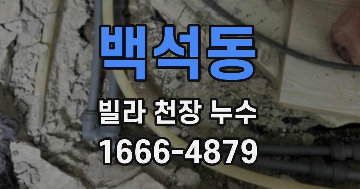 백석동 빌라 천장 누수