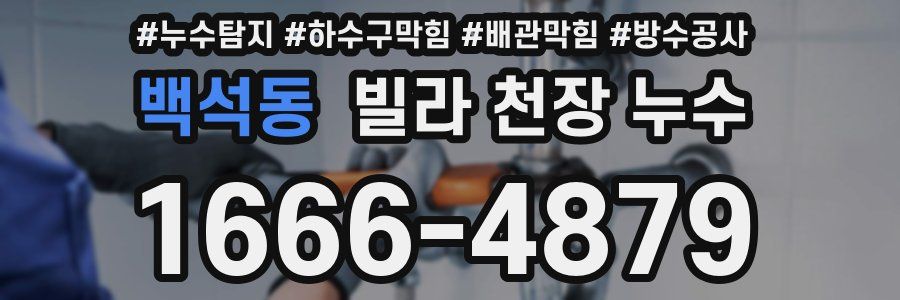 백석동 빌라 천장 누수