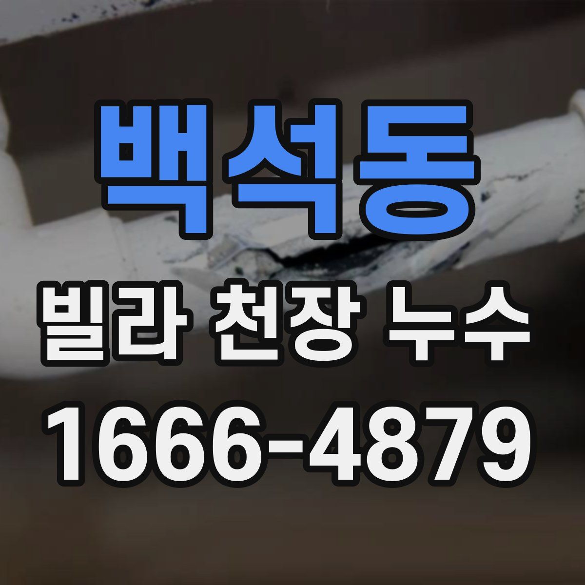 백석동 빌라 천장 누수