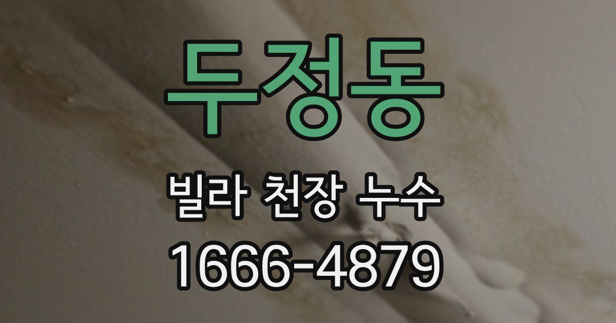 두정동 빌라 천장 누수