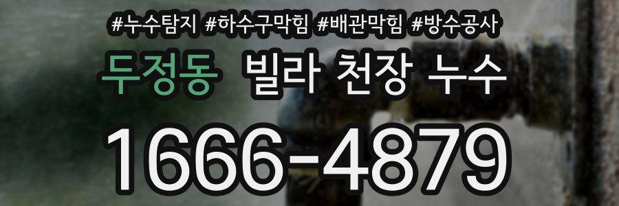 두정동 빌라 천장 누수