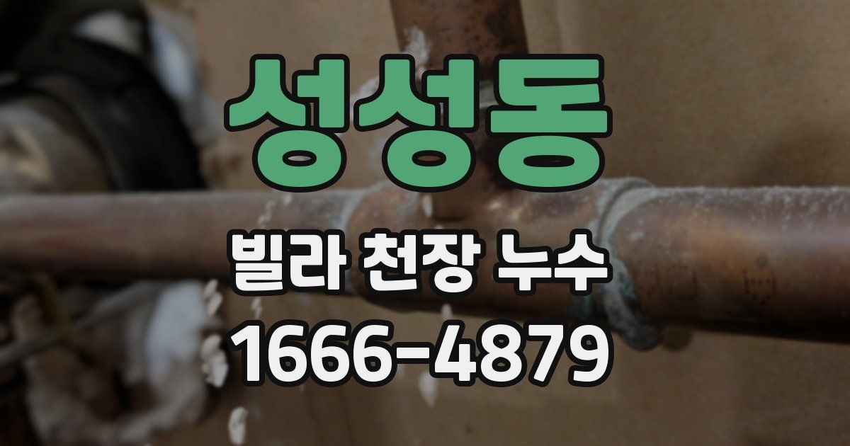 성성동 빌라 천장 누수