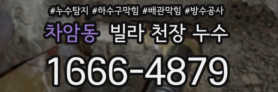 차암동 빌라 천장 누수