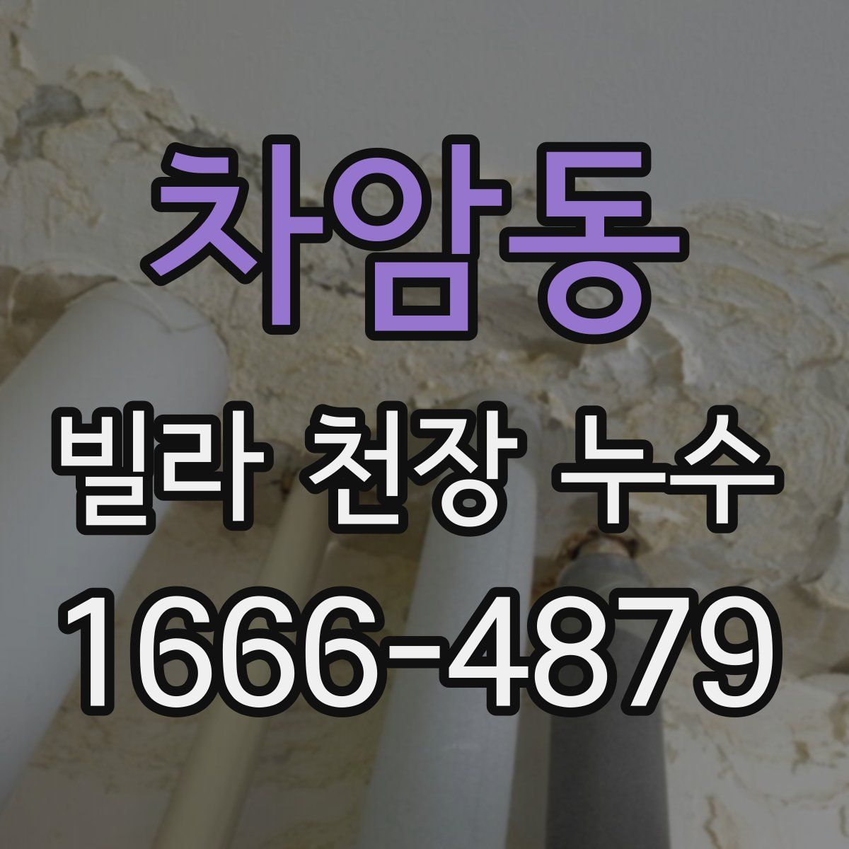 차암동 빌라 천장 누수