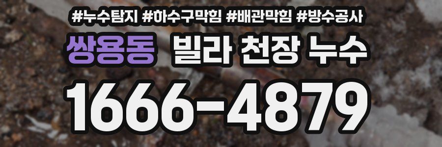 쌍용동 빌라 천장 누수