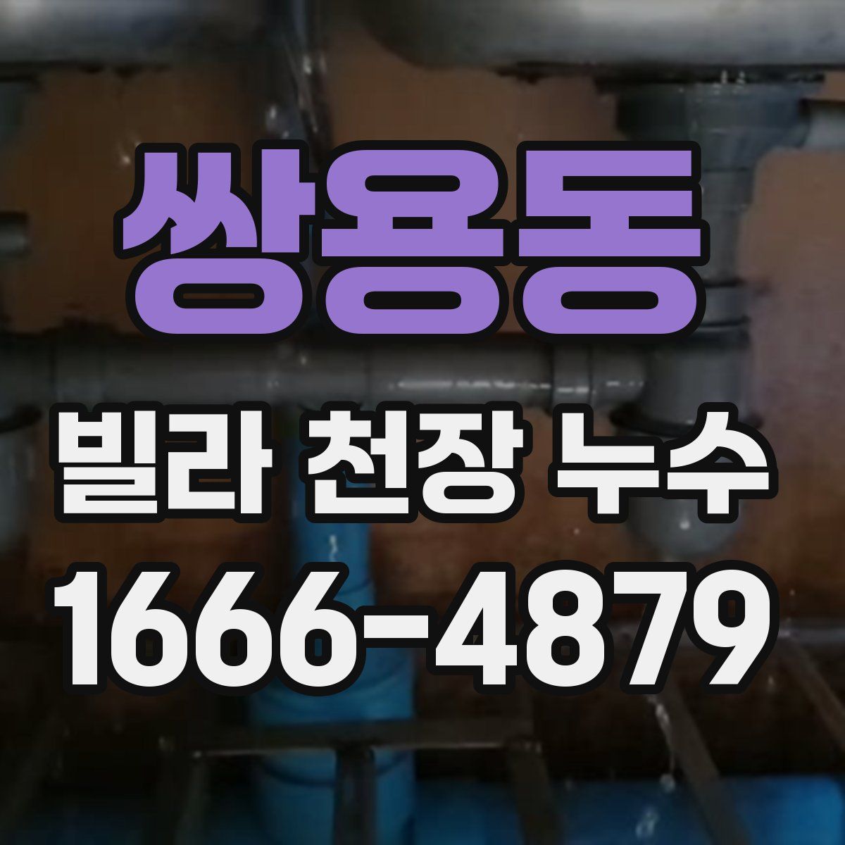쌍용동 빌라 천장 누수