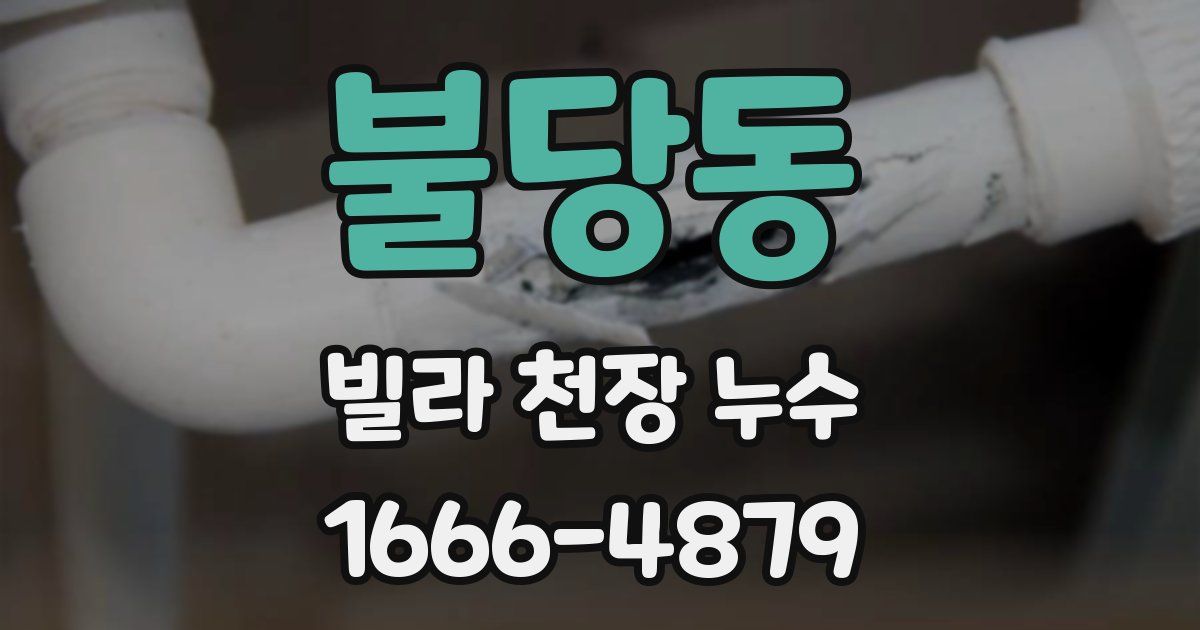 불당동 빌라 천장 누수