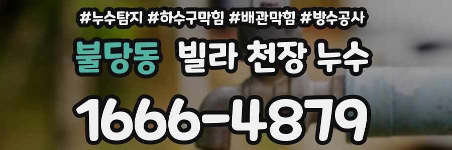 불당동 빌라 천장 누수