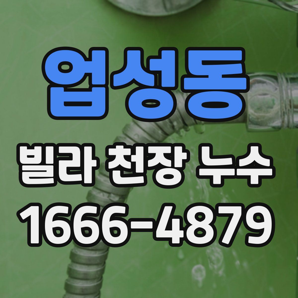 업성동 빌라 천장 누수