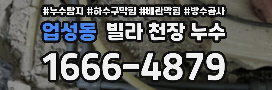 업성동 빌라 천장 누수