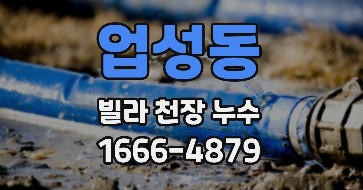 업성동 빌라 천장 누수
