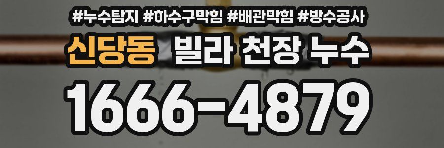 신당동 빌라 천장 누수