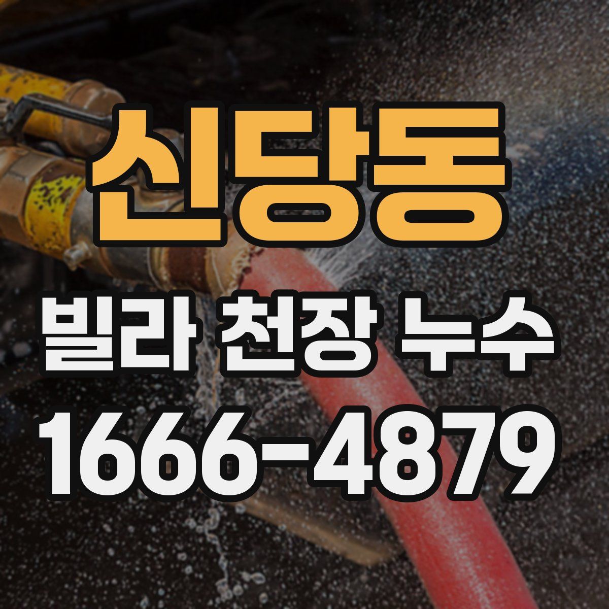 신당동 빌라 천장 누수