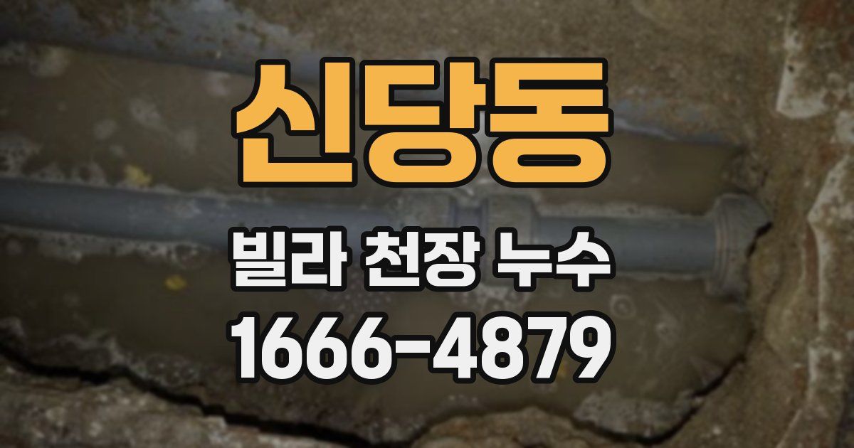 신당동 빌라 천장 누수