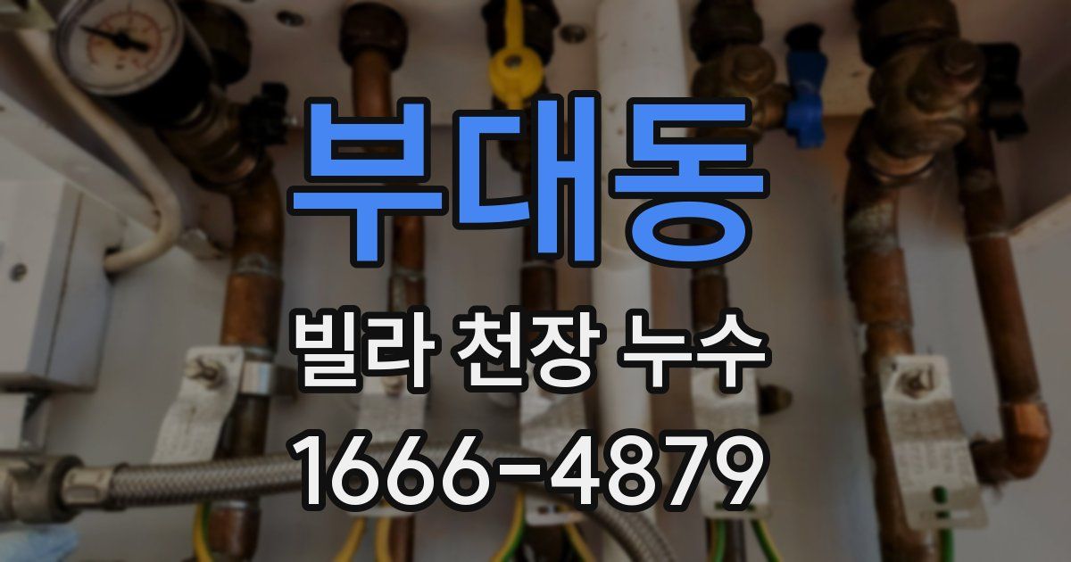 부대동 빌라 천장 누수