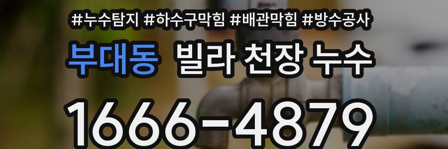 부대동 빌라 천장 누수