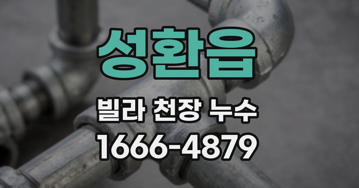성환읍 빌라 천장 누수