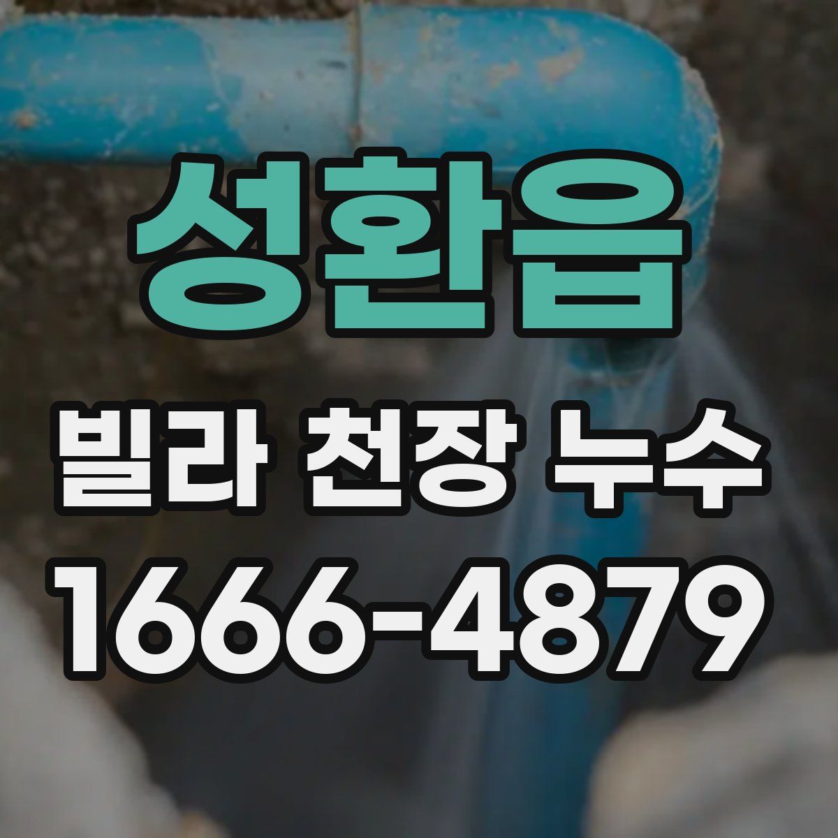성환읍 빌라 천장 누수