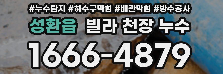 성환읍 빌라 천장 누수