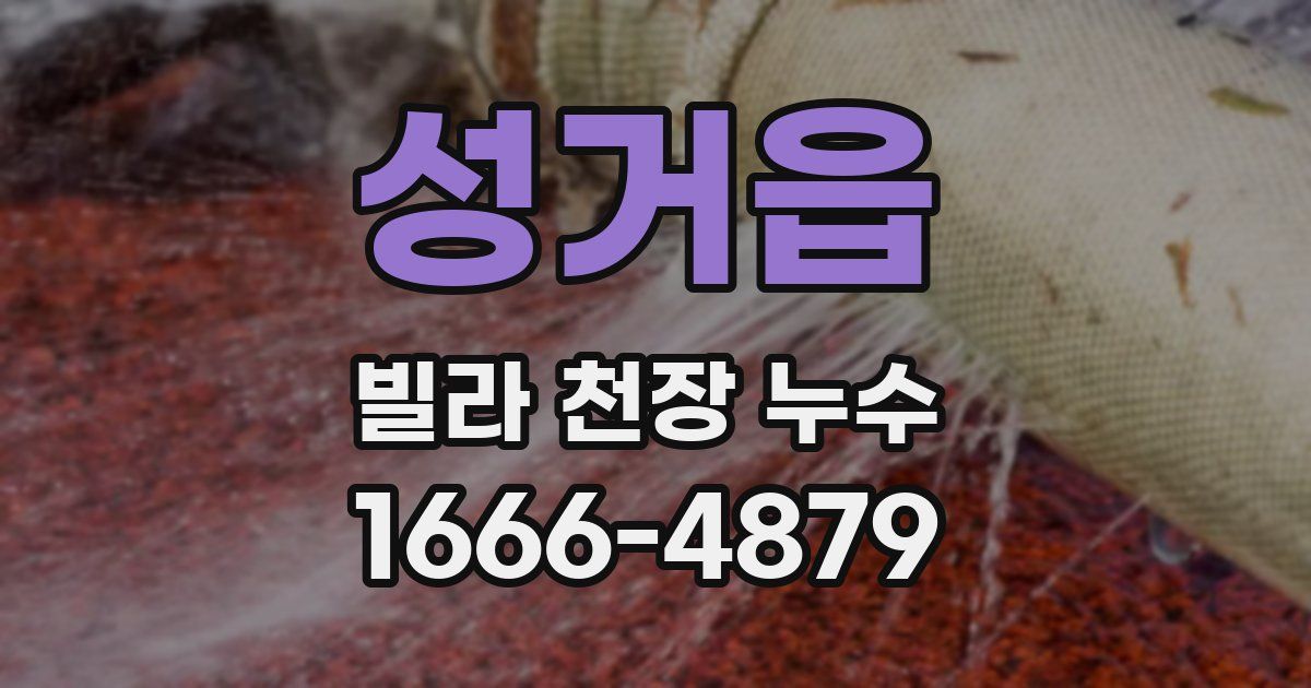성거읍 빌라 천장 누수