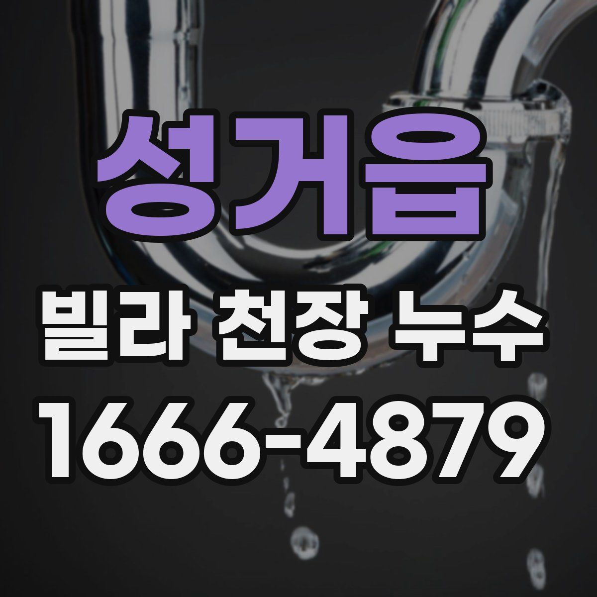 성거읍 빌라 천장 누수