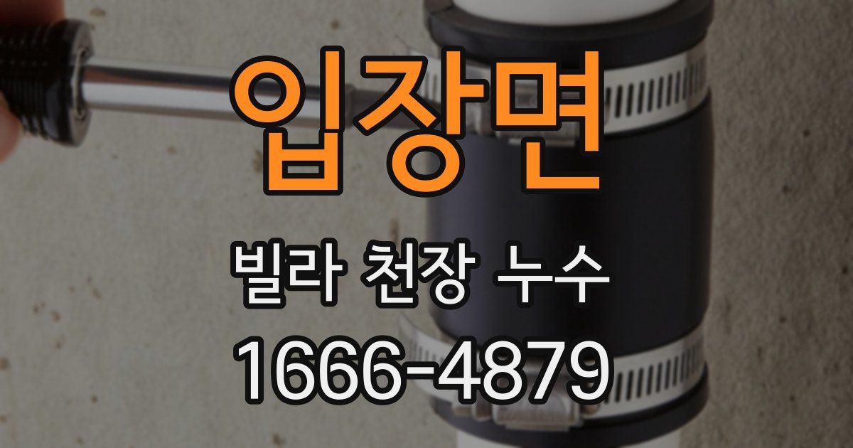 입장면 빌라 천장 누수