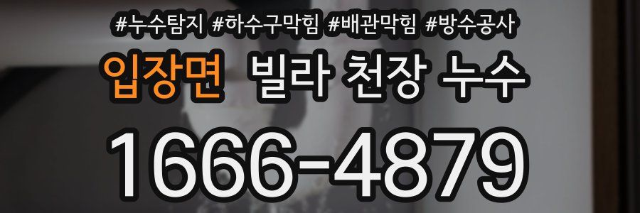 입장면 빌라 천장 누수