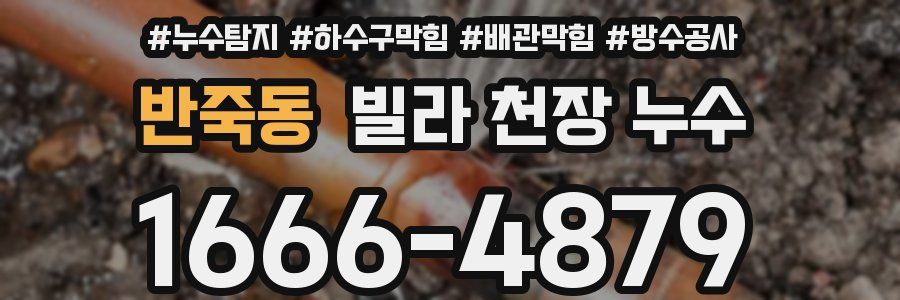 반죽동 빌라 천장 누수
