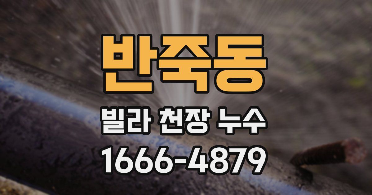 반죽동 빌라 천장 누수