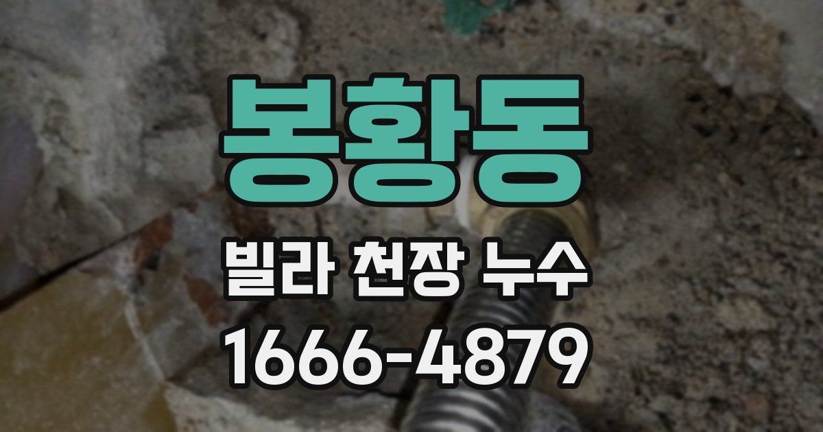 봉황동 빌라 천장 누수