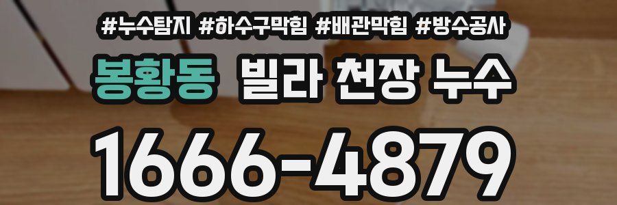 봉황동 빌라 천장 누수