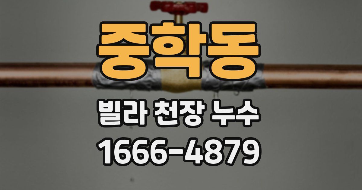 중학동 빌라 천장 누수