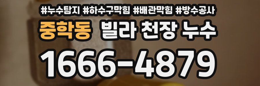 중학동 빌라 천장 누수