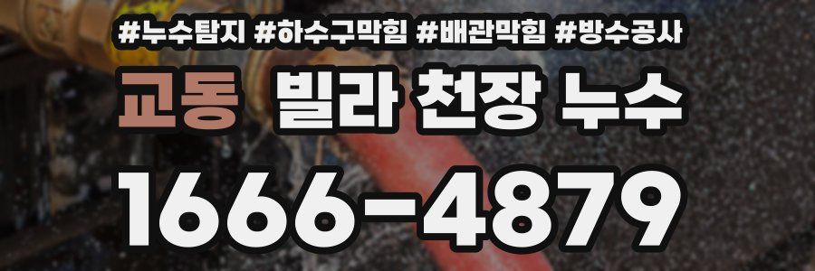 교동 빌라 천장 누수