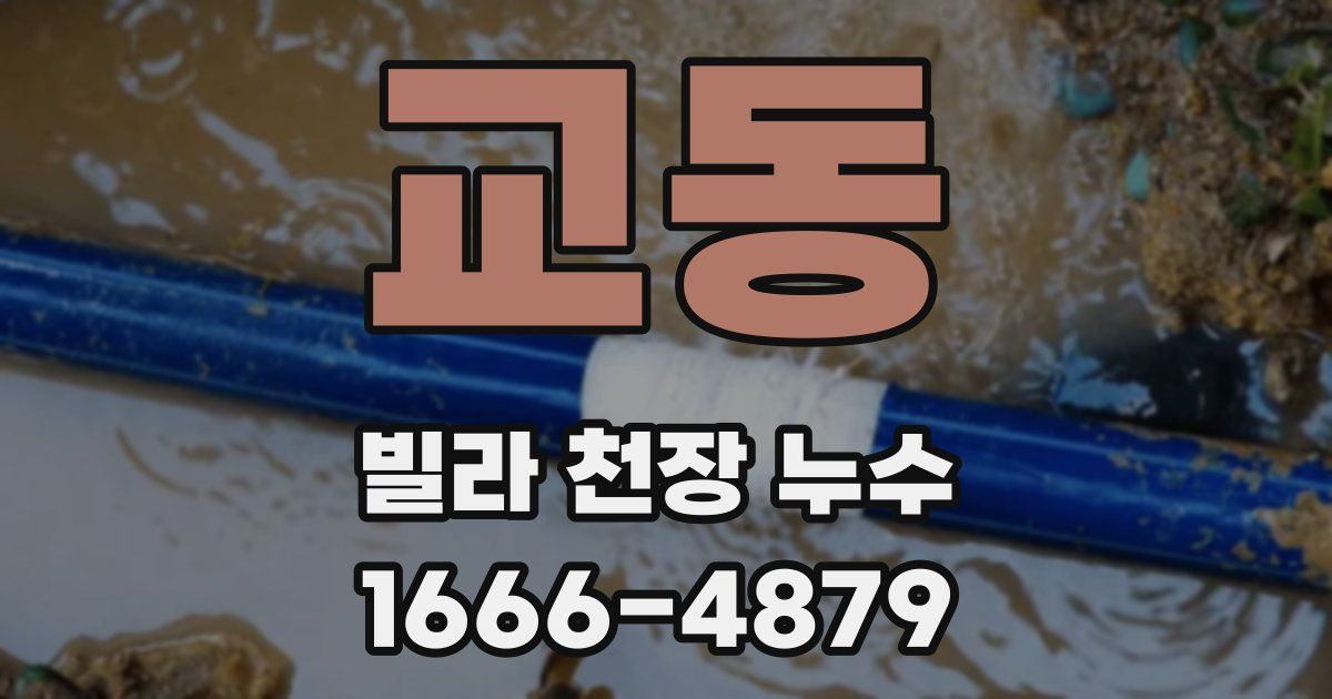 교동 빌라 천장 누수
