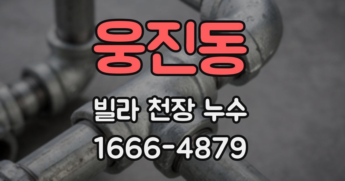 웅진동 빌라 천장 누수