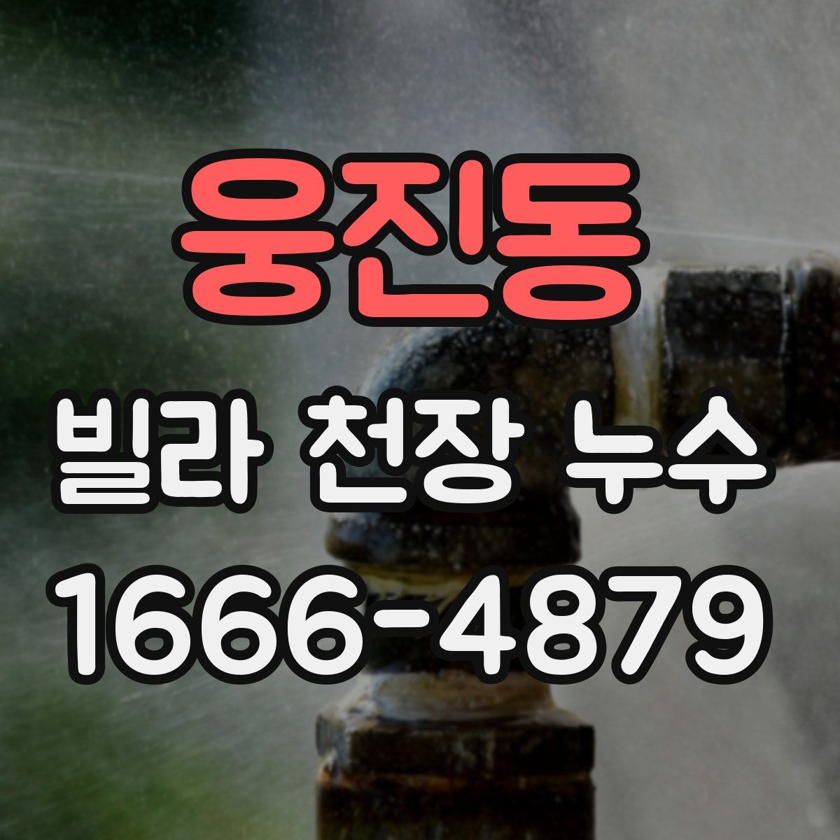웅진동 빌라 천장 누수