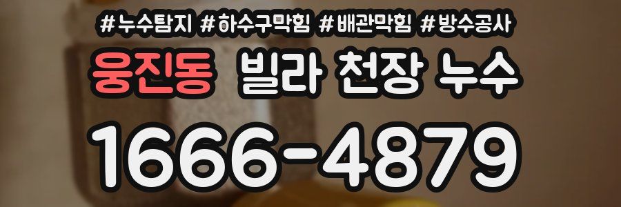 웅진동 빌라 천장 누수