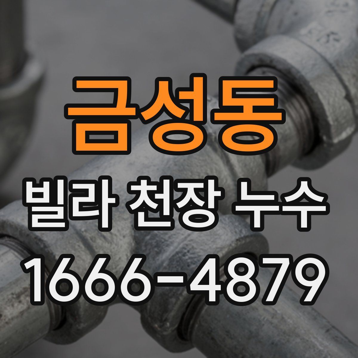 금성동 빌라 천장 누수