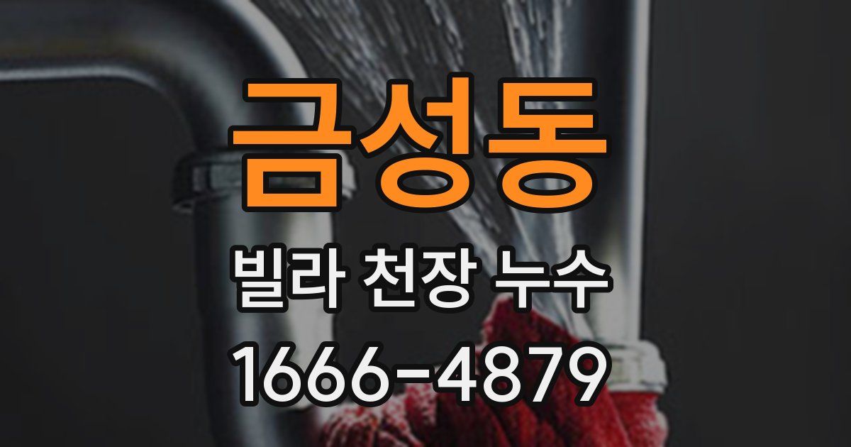 금성동 빌라 천장 누수