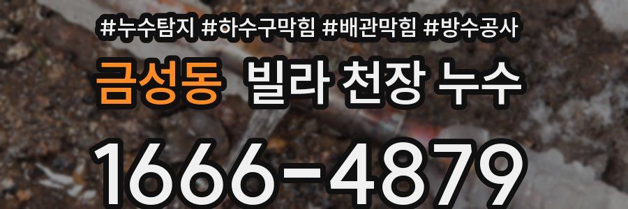 금성동 빌라 천장 누수