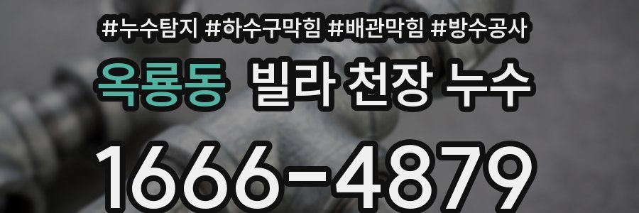 옥룡동 빌라 천장 누수