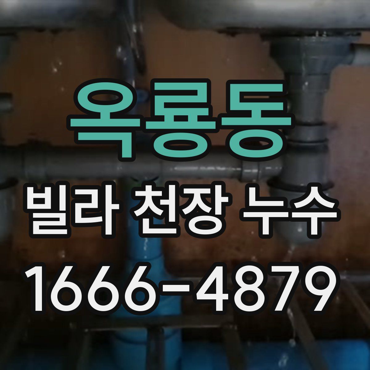 옥룡동 빌라 천장 누수