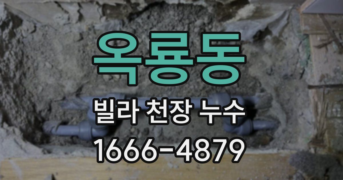 옥룡동 빌라 천장 누수